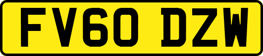 FV60DZW