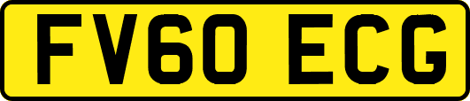 FV60ECG