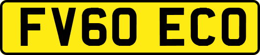 FV60ECO