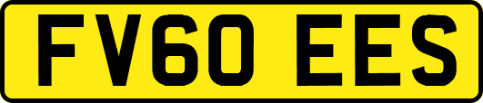 FV60EES