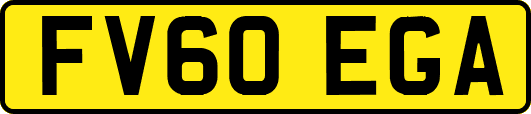 FV60EGA