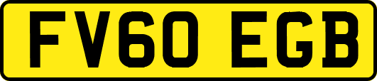 FV60EGB
