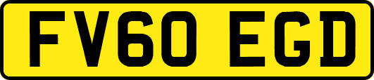 FV60EGD