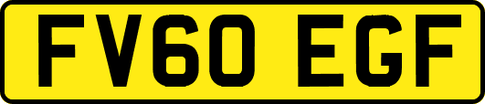 FV60EGF
