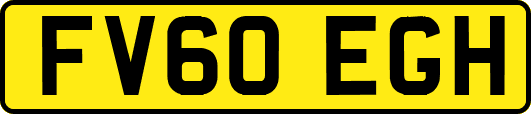 FV60EGH