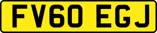 FV60EGJ
