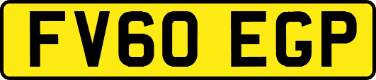 FV60EGP