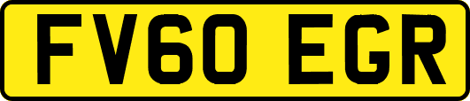 FV60EGR