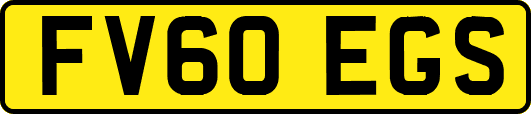FV60EGS