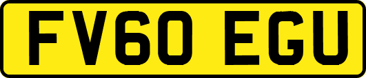 FV60EGU