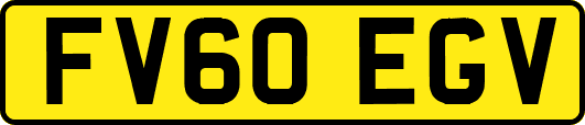 FV60EGV