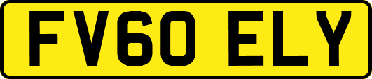 FV60ELY