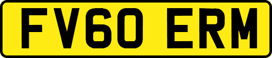 FV60ERM