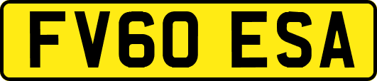 FV60ESA