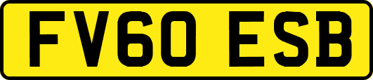 FV60ESB