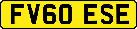 FV60ESE