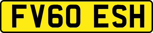 FV60ESH