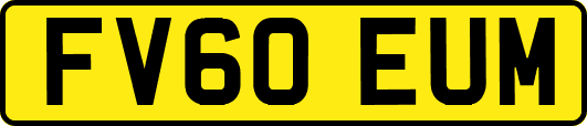 FV60EUM