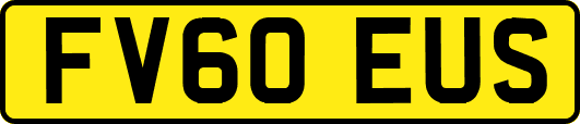 FV60EUS