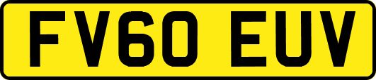 FV60EUV