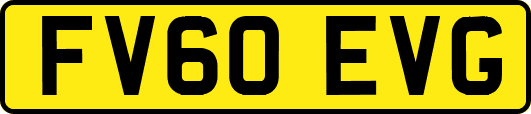 FV60EVG