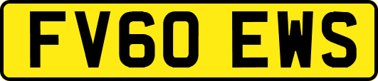FV60EWS