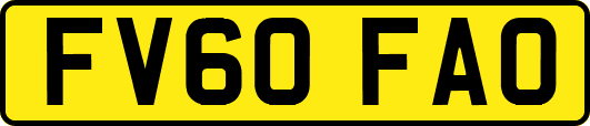 FV60FAO