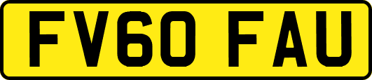 FV60FAU