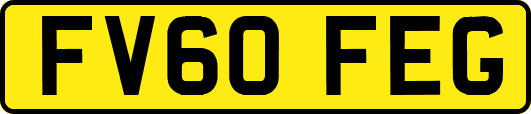 FV60FEG