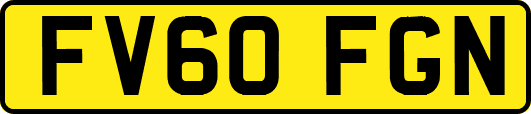 FV60FGN