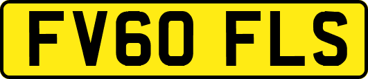 FV60FLS