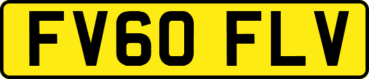 FV60FLV