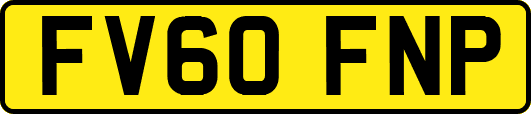 FV60FNP