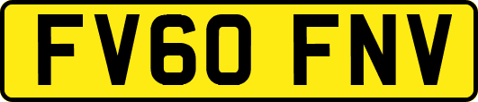 FV60FNV