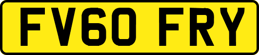 FV60FRY