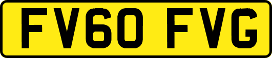 FV60FVG