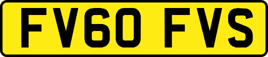 FV60FVS