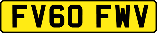 FV60FWV