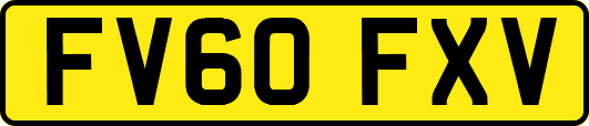 FV60FXV