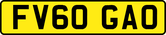 FV60GAO