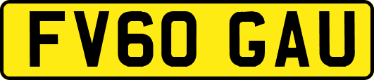 FV60GAU