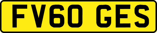 FV60GES