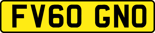 FV60GNO