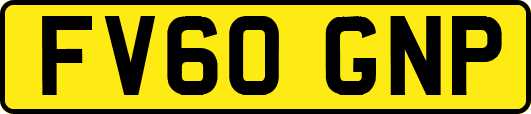 FV60GNP