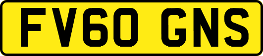 FV60GNS