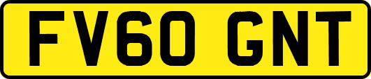 FV60GNT