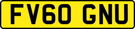 FV60GNU
