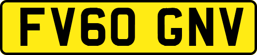 FV60GNV