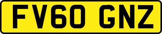 FV60GNZ