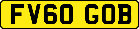 FV60GOB